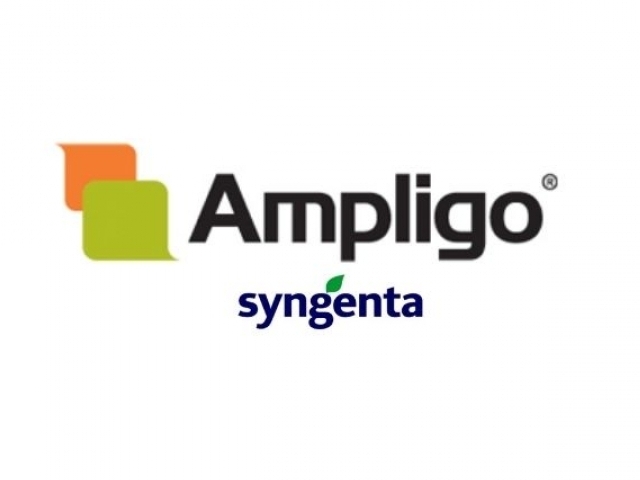 AMPLIGO ®