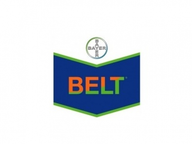 BELT ® 